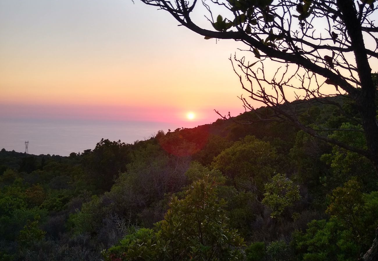 Villa in Vasiliki - Villa Geofos
