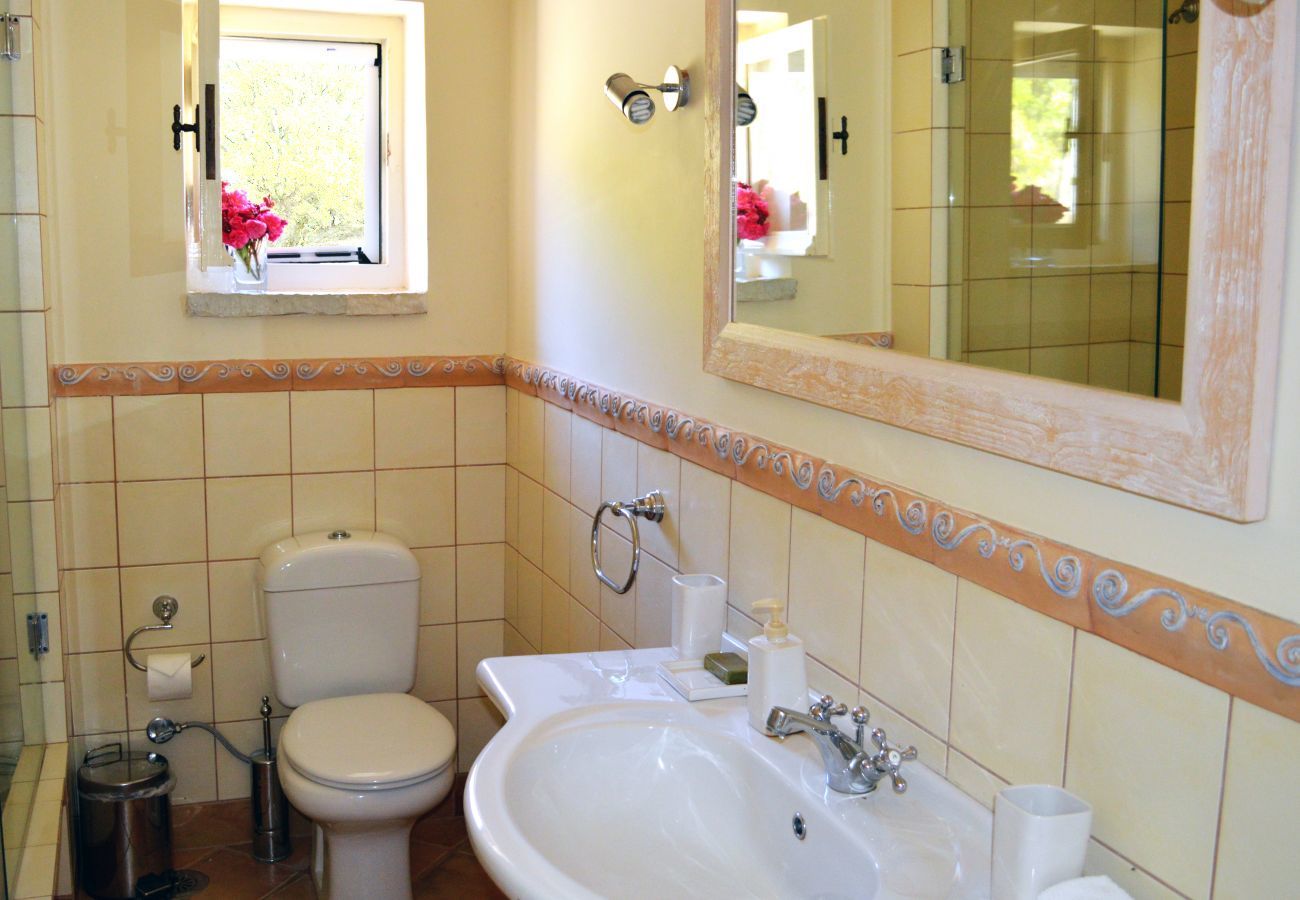 Villa in Vasiliki - Villa Geofos