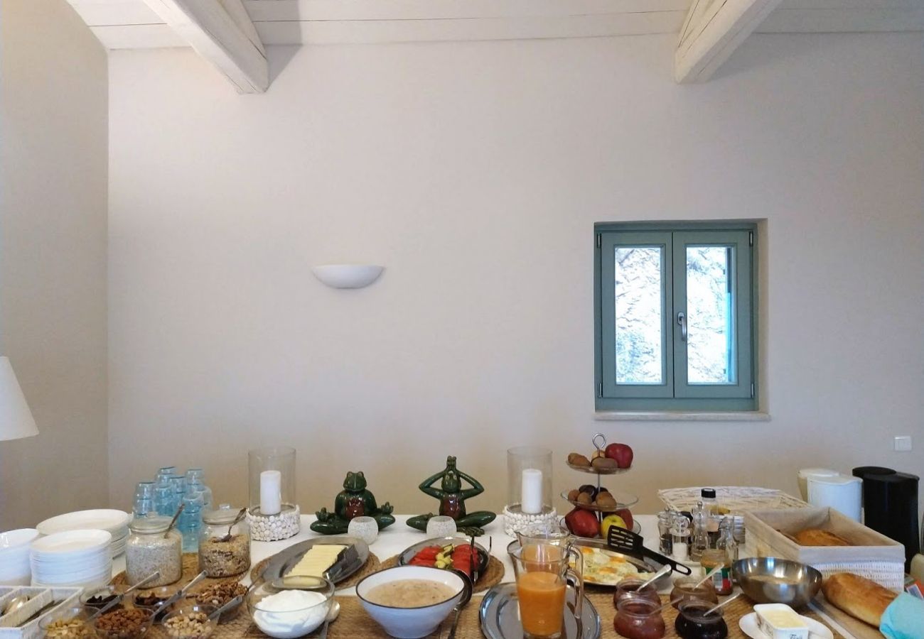 Villa in Vasiliki - Villa Geofos