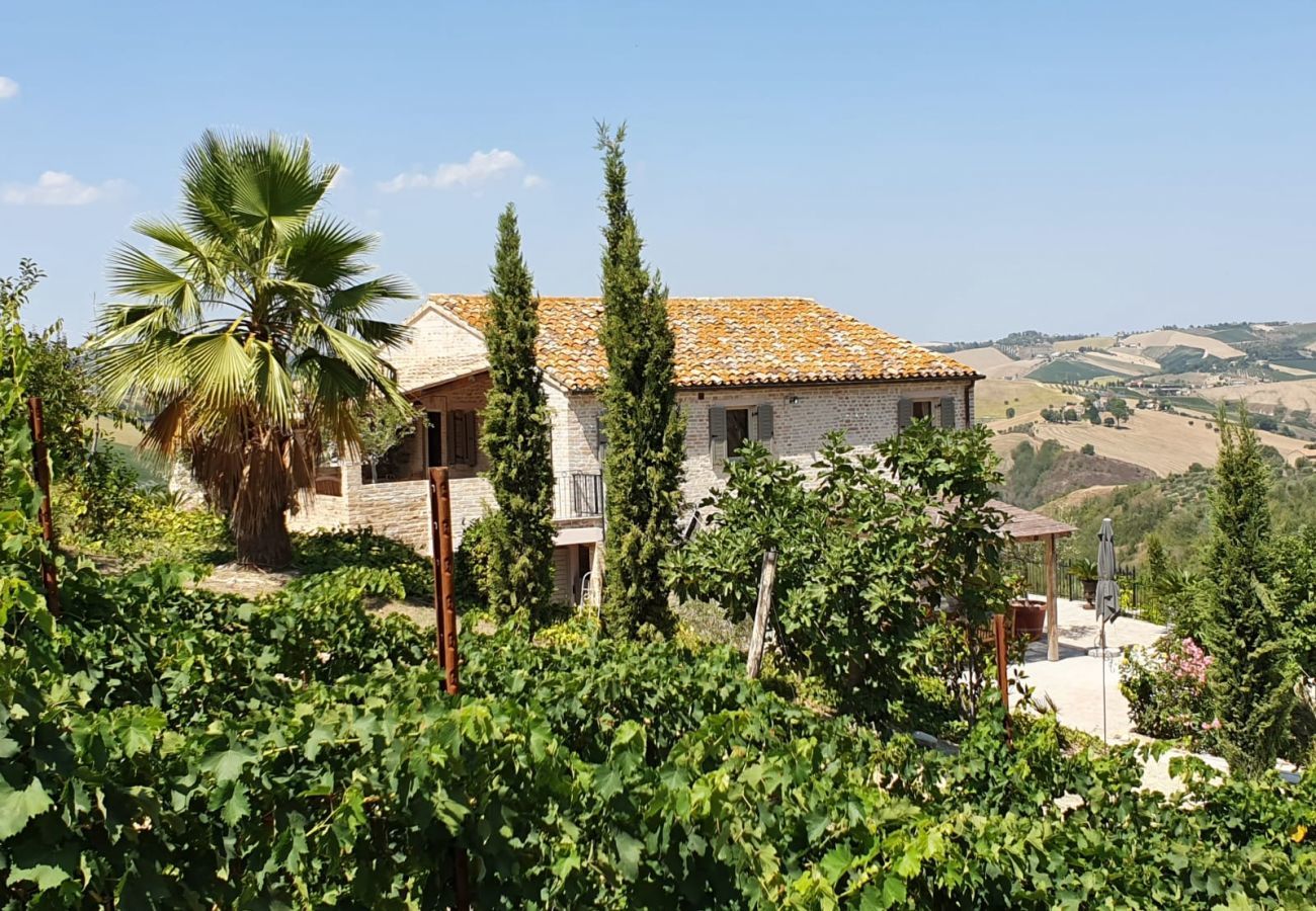 Villa in Offida - Casa La Farfalla