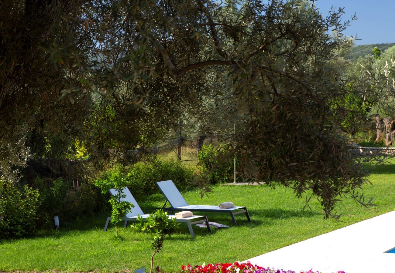 Villa Elionas is een moderne, kindvriendelijke vakantievilla met olijftuin en privé zwembad in Lefkas-stad, Lefkas
