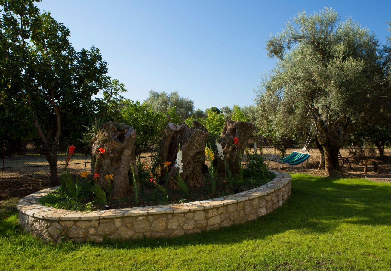 Villa Elionas is een moderne, kindvriendelijke vakantievilla met olijftuin en privé zwembad in Lefkas-stad, Lefkas