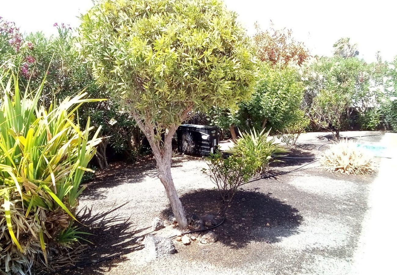 Villa in Playa Blanca - Villa Rosalia