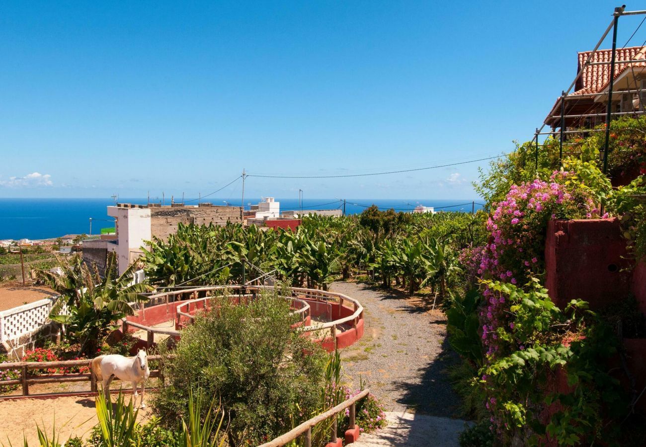 Villa in Arucas - Finca Arucas