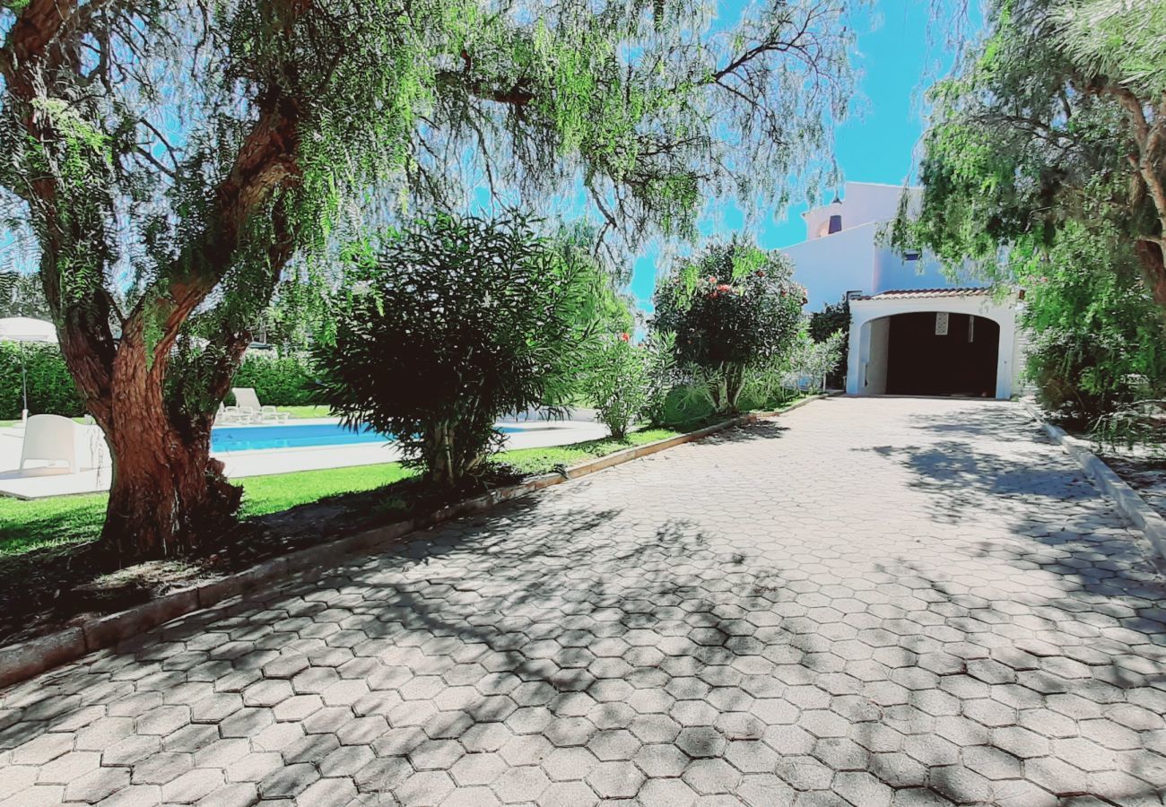 Villa in Benagil - Villa Leonora