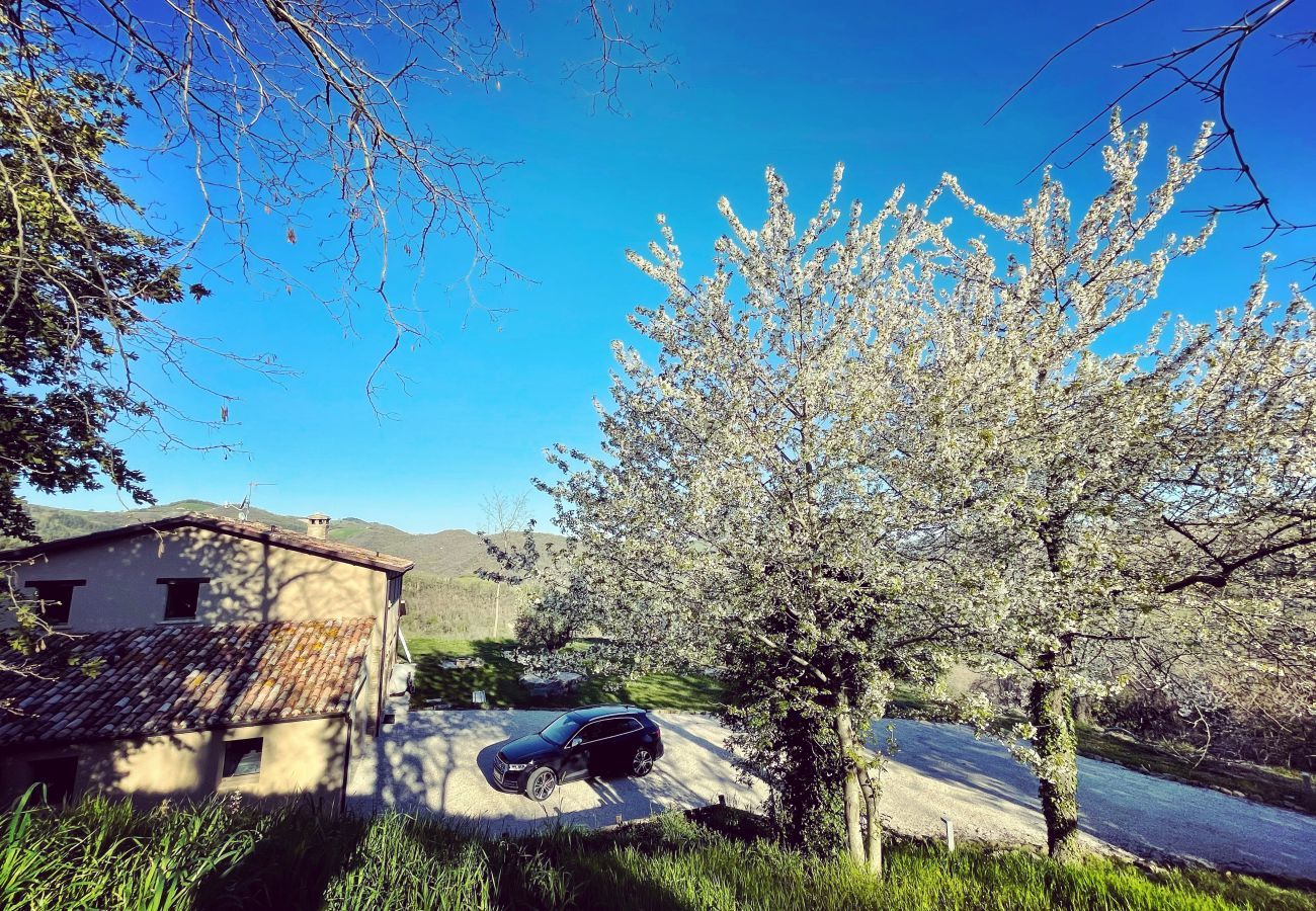 Villa in Mombaroccio - Casa Fontegenga