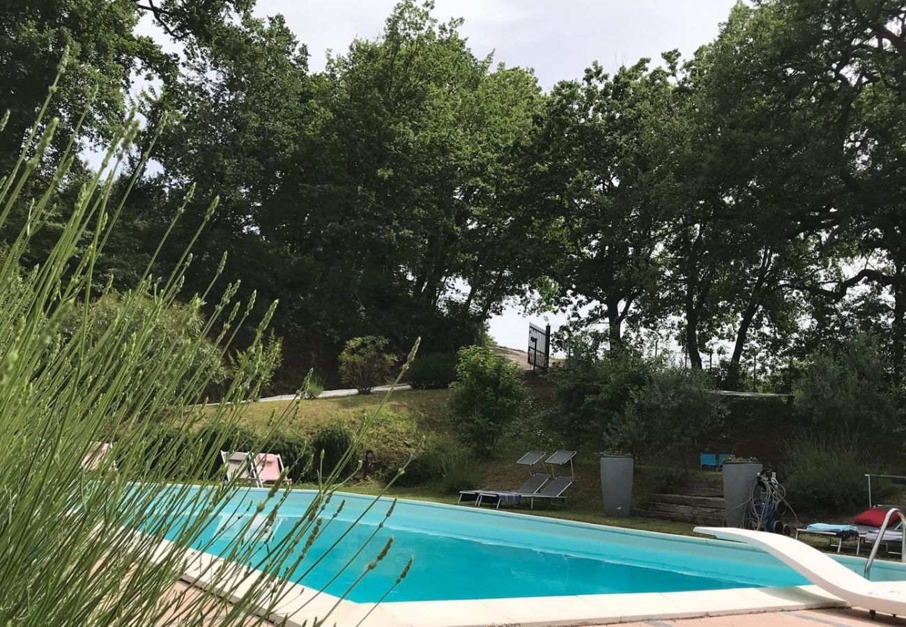Appartement in Santa Maria Nuova - Appartement Monti