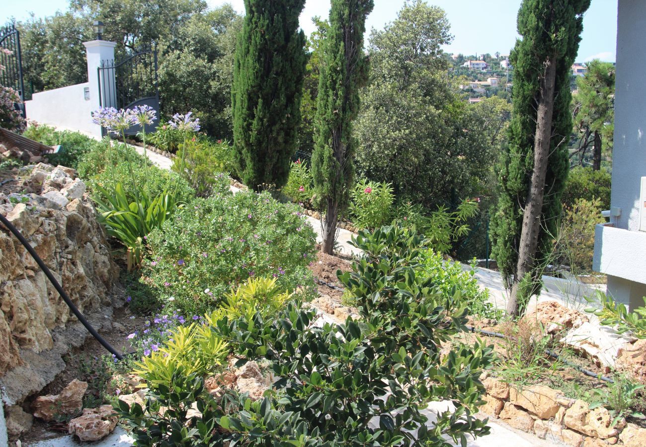 Villa in Les Issambres - Villa Feline