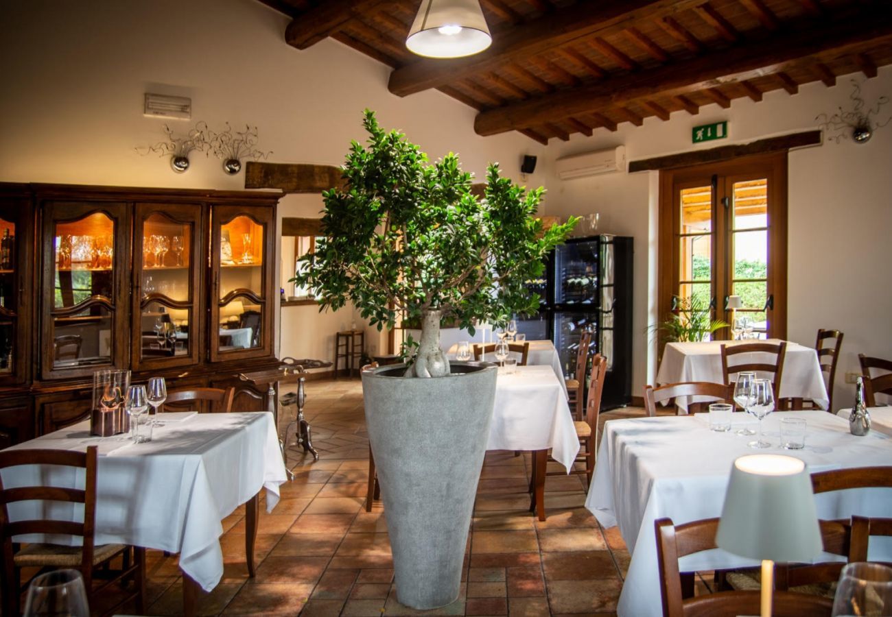 Appartement in Montemaggiore al Metauro - Appartement Metauro II