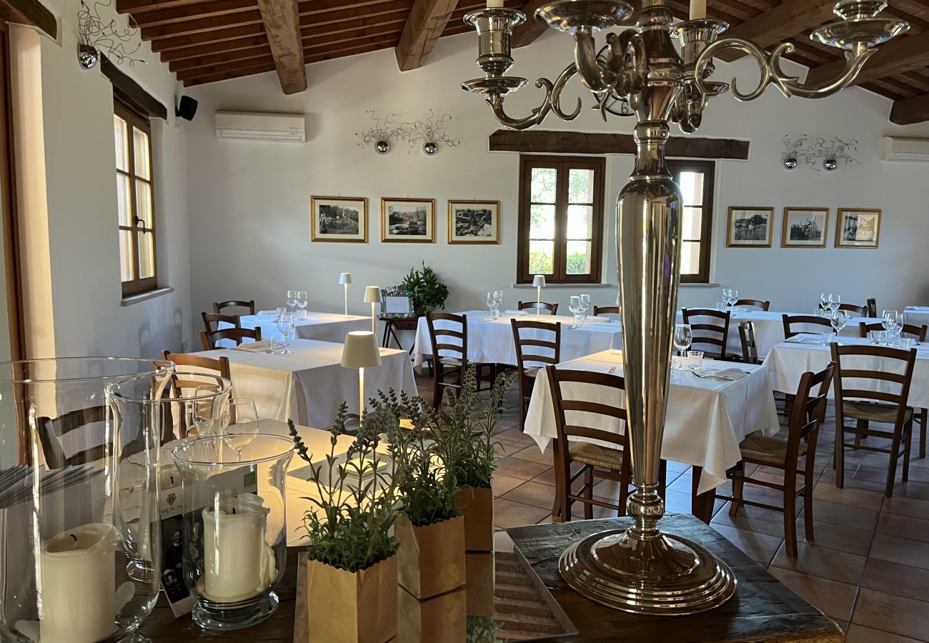 Appartement in Montemaggiore al Metauro - Appartement Metauro II