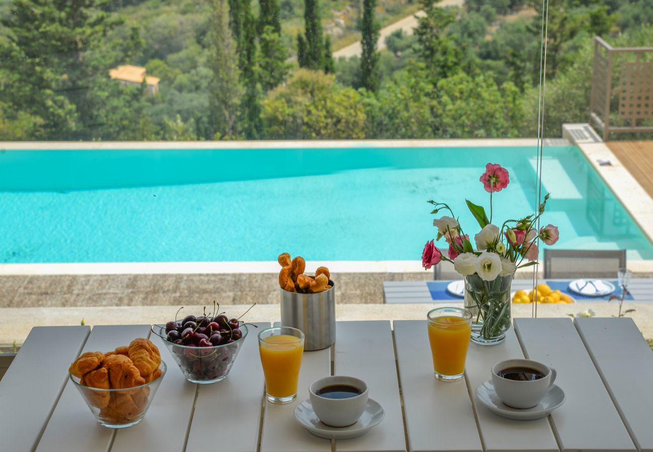 Villa in Agios Nikitas - Villa Feria