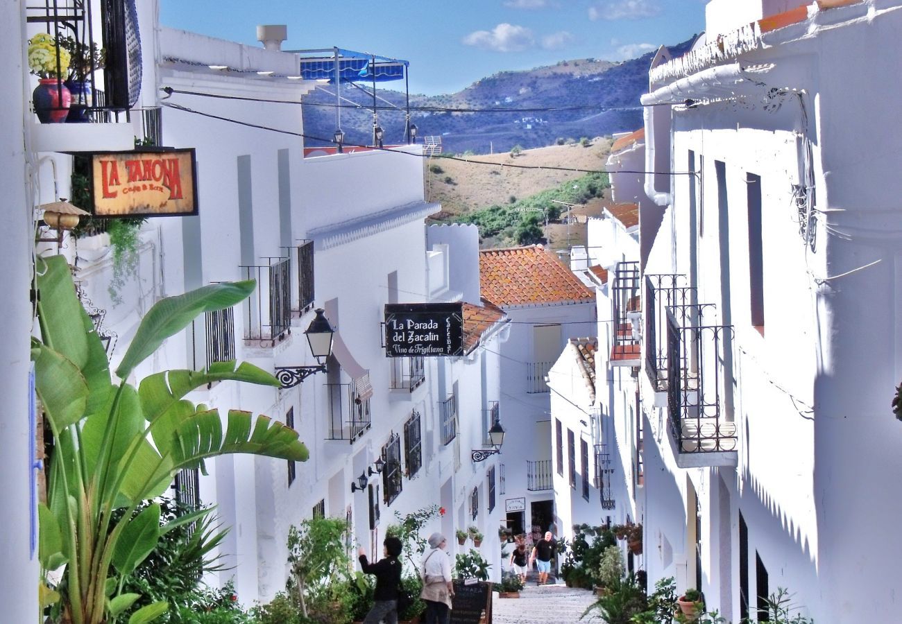 Villa in Frigiliana - Villa Noelia