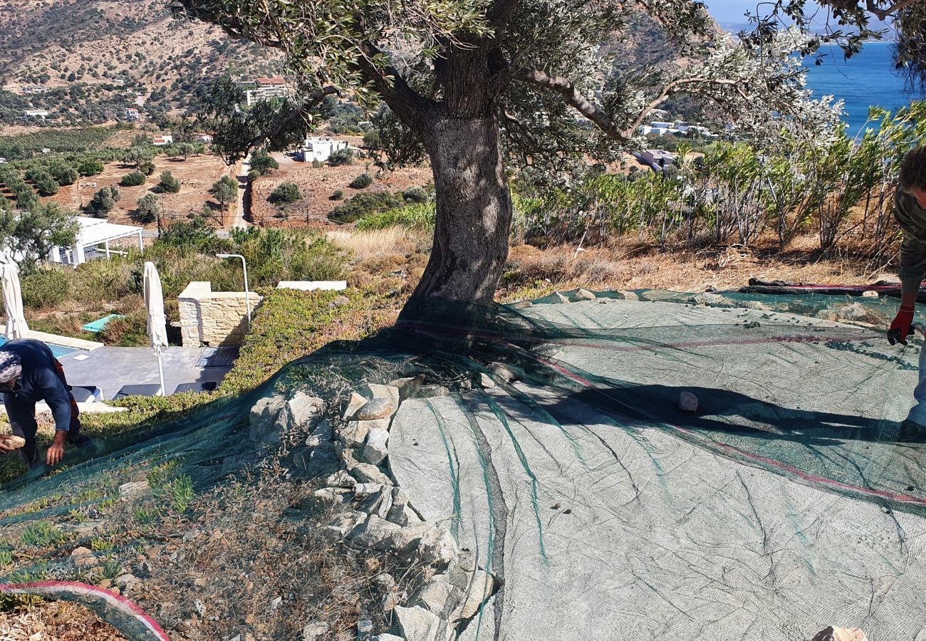 Studio in Agia Galini - Studio Galini Breeze