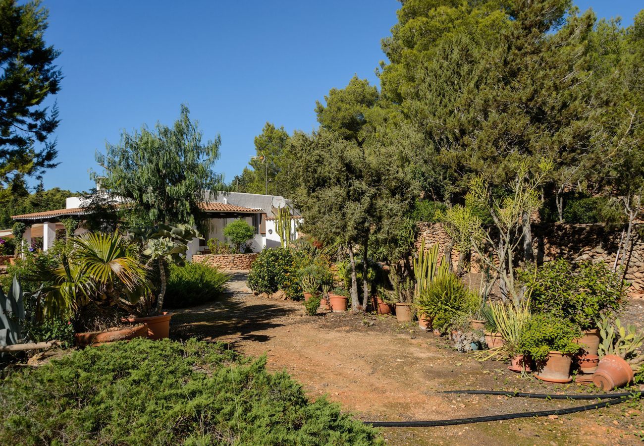 Casa Lila is een stijlvol vakantiehuis met zwembad, tuin en privacy op loopafstand van San Carlos, Ibiza