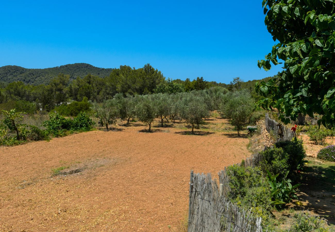 Luxe Ibiza Villa Mariposa met privé zwembad en mooie tuin. Vlakbij Benirras strand in San Miguel