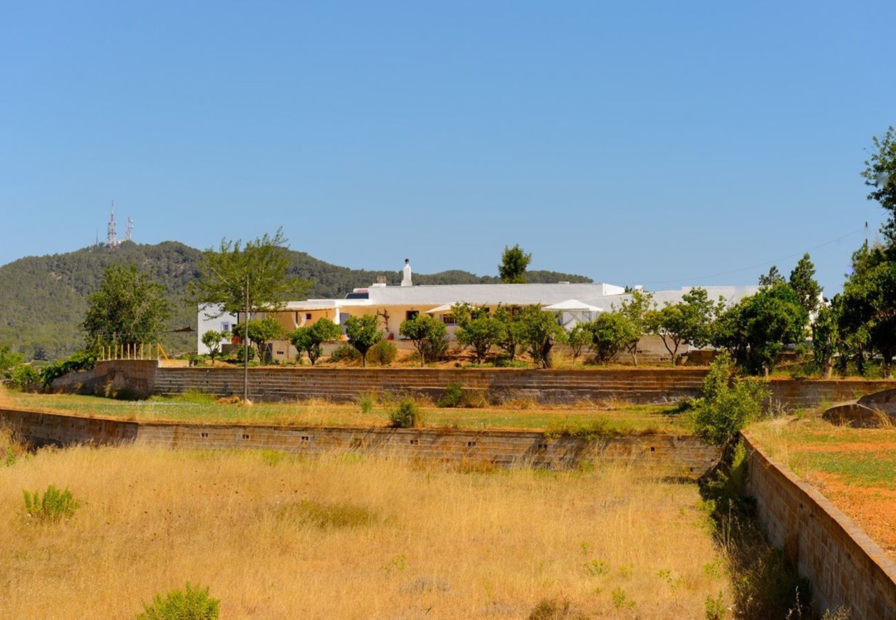 Villa Belicia heeft een ruim privé zwembad en veel privacy. Met fijne tuin. Gelegen in Santa Eulalia, Ibiza