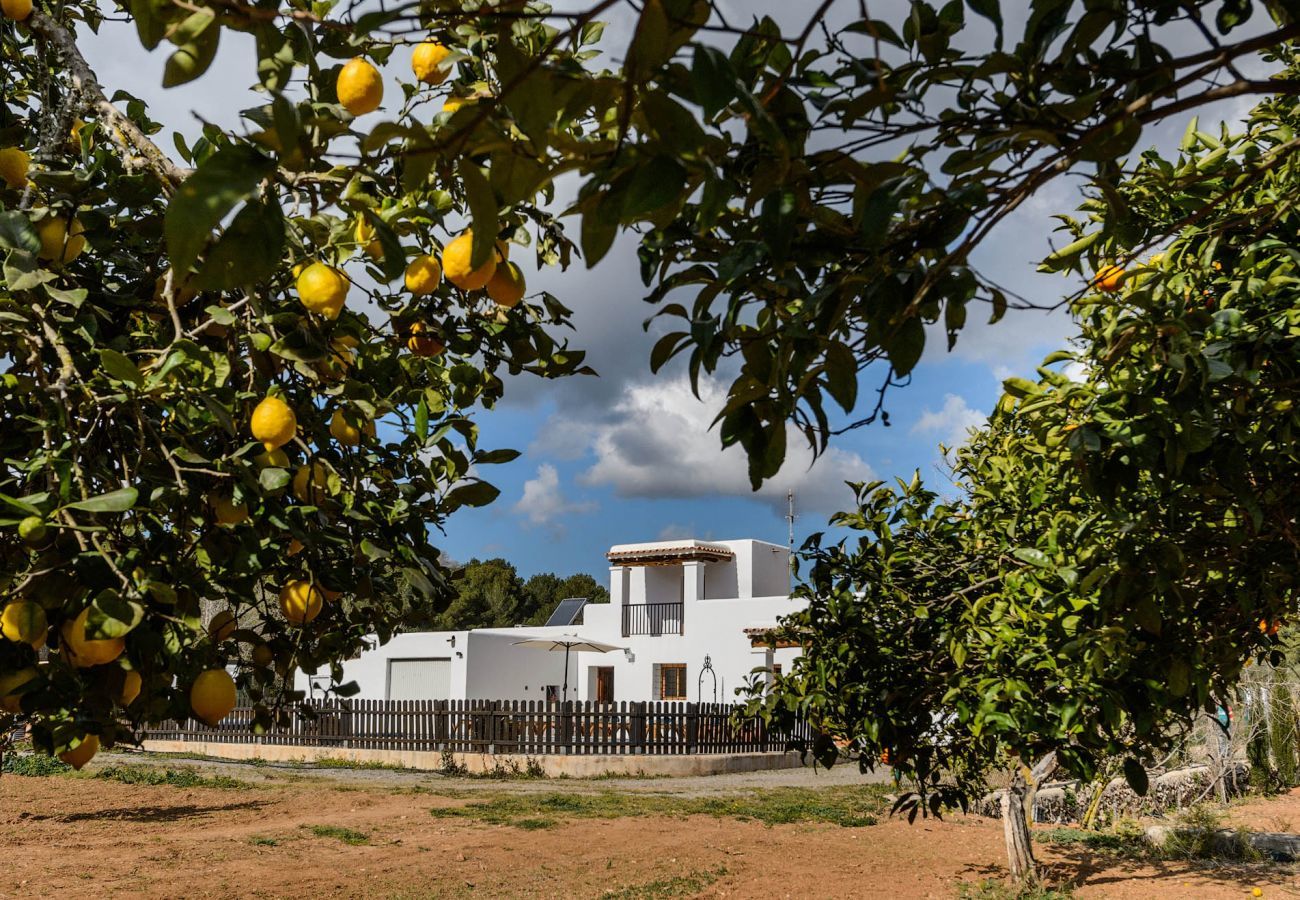Villa in Santa Eulalia des Riu - Casa Zelia