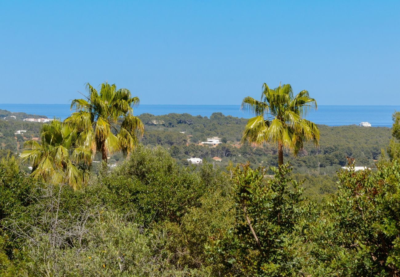 Villa in Santa Eulalia des Riu - Finca Nuria