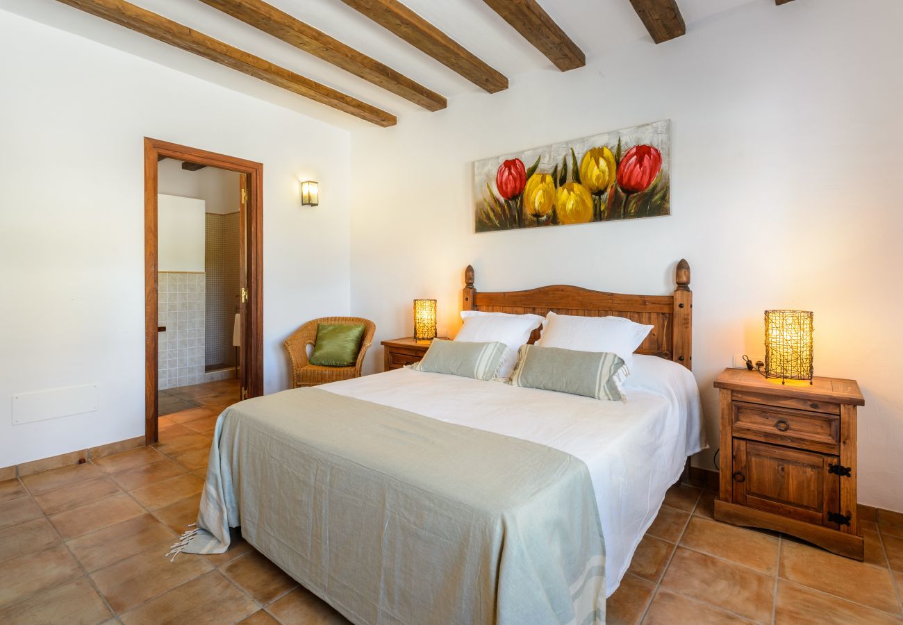 Villa in Sant Josep de Sa Talaia - Villa La Rosa