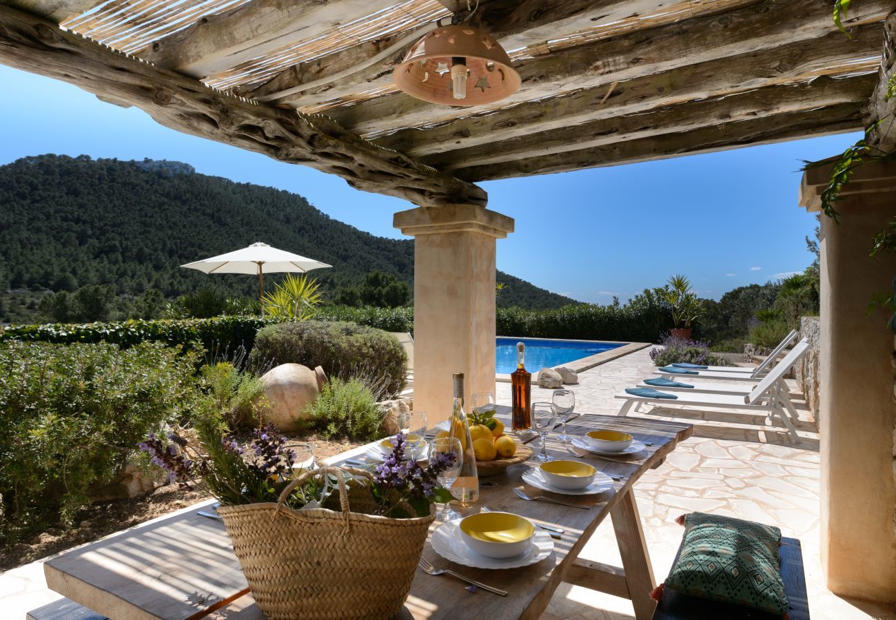 Villa in Sant Josep de Sa Talaia - Villa La Rosa