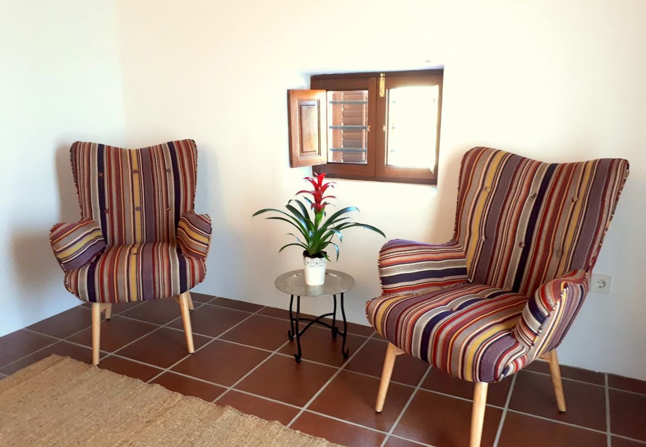 Villa in Santa Gertrudis - Villa Balea