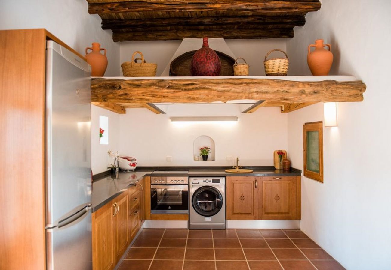 Villa in Santa Gertrudis - Villa Balea