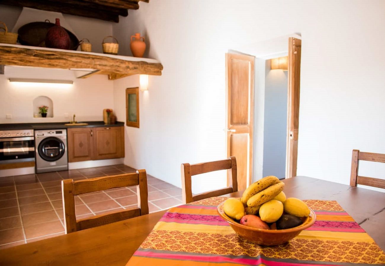 Villa in Santa Gertrudis - Villa Balea
