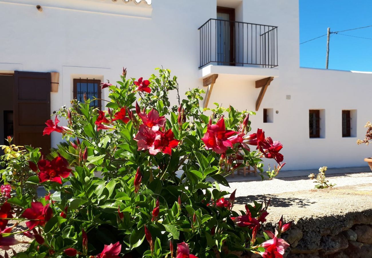 Villa in Santa Gertrudis - Villa Balea