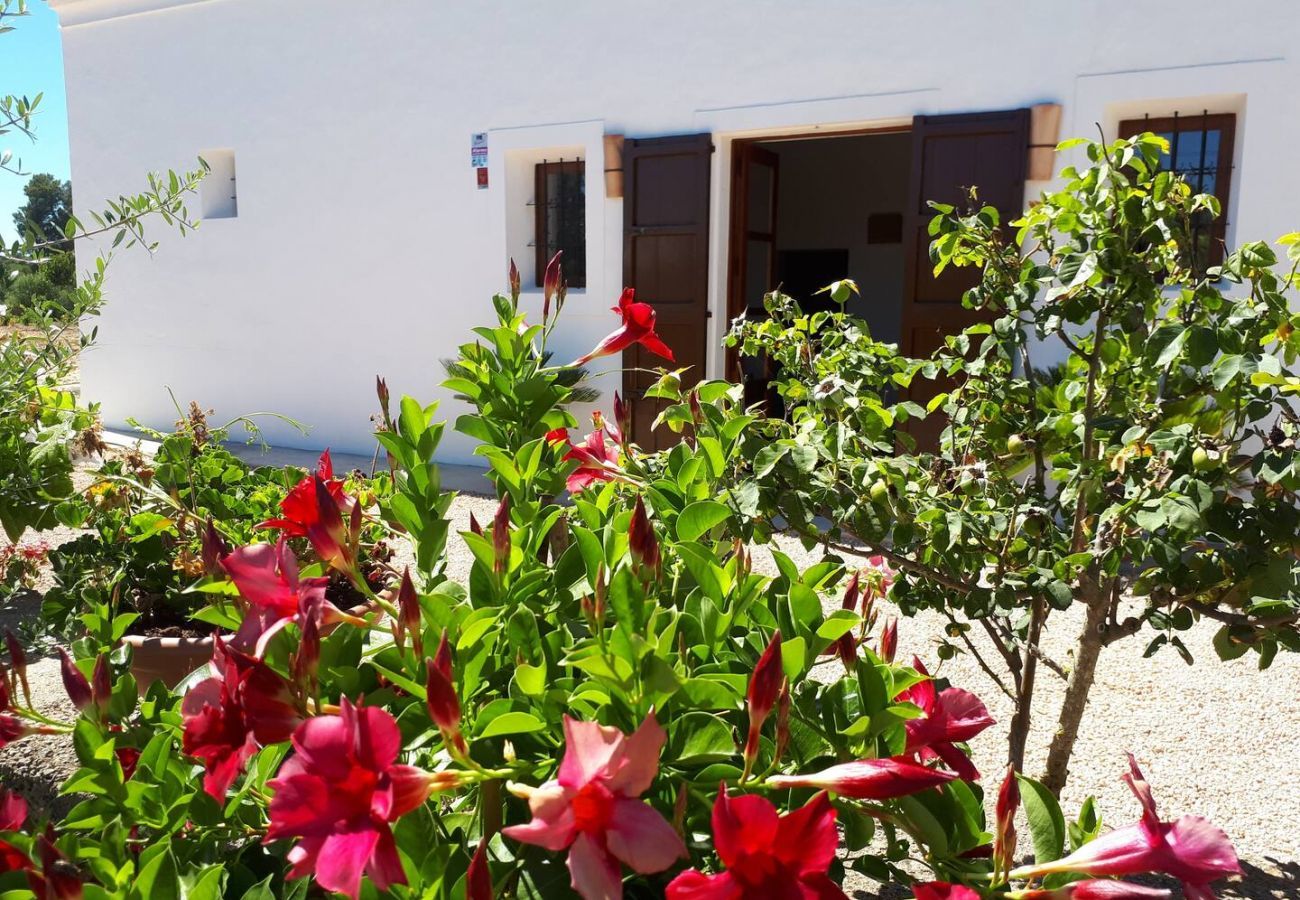 Villa in Santa Gertrudis - Villa Balea