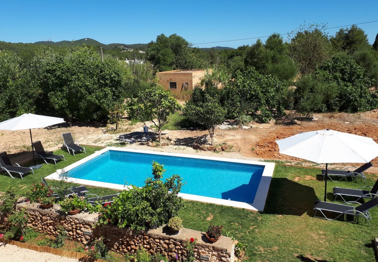 Villa in Santa Gertrudis - Villa Balea