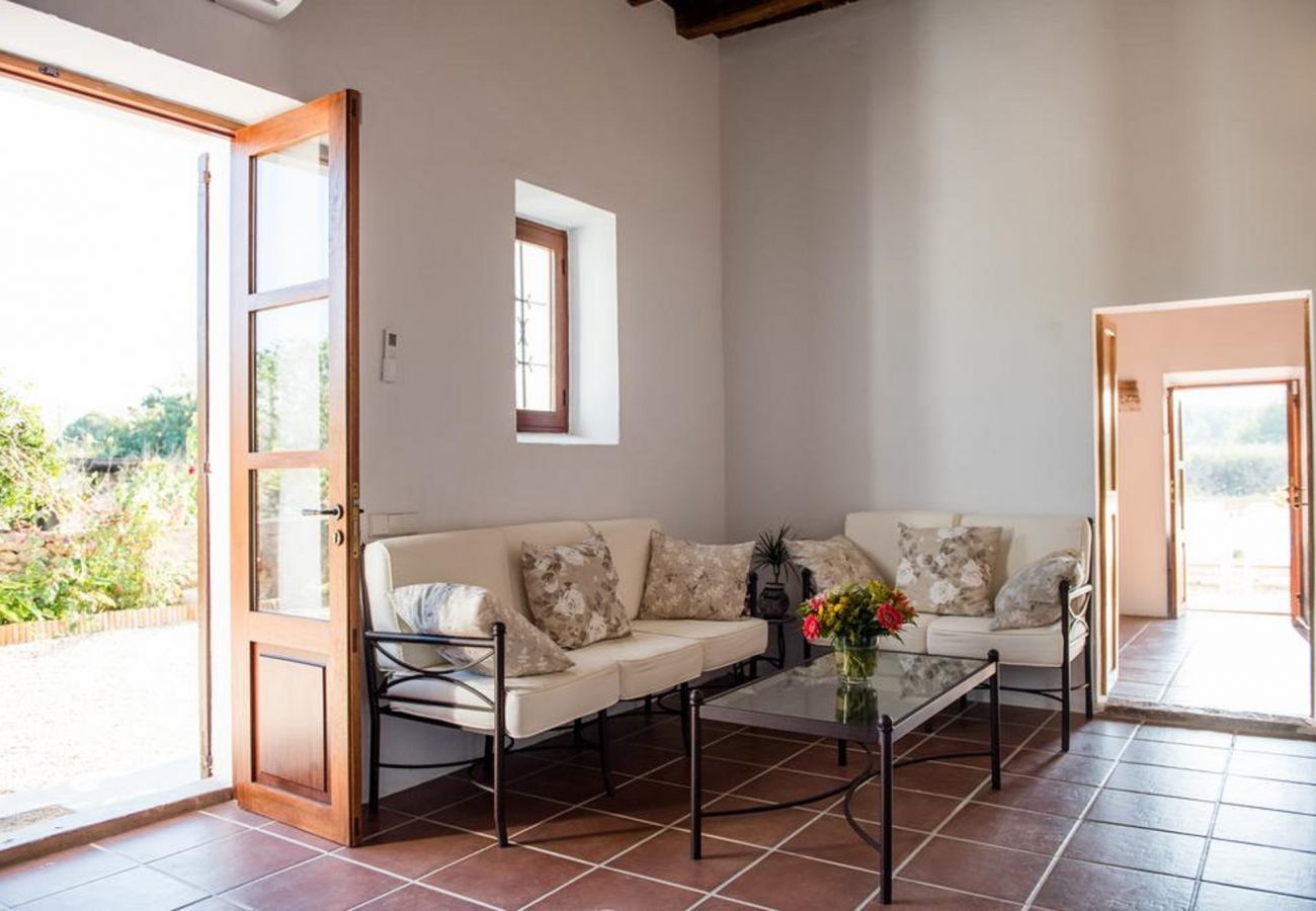 Villa in Santa Gertrudis - Villa Balea