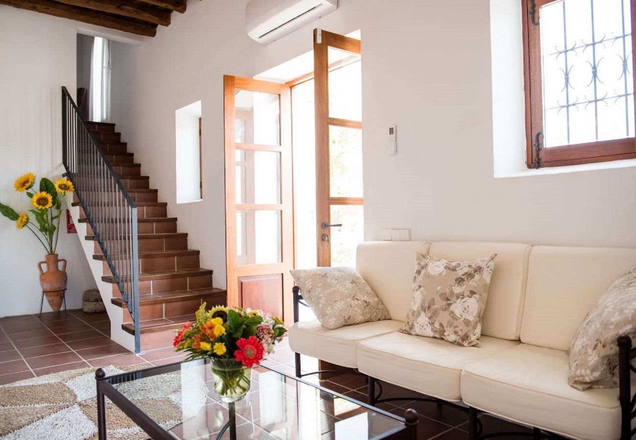 Villa in Santa Gertrudis - Villa Balea