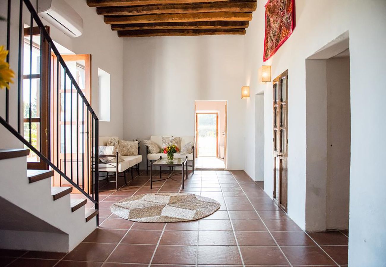 Villa in Santa Gertrudis - Villa Balea