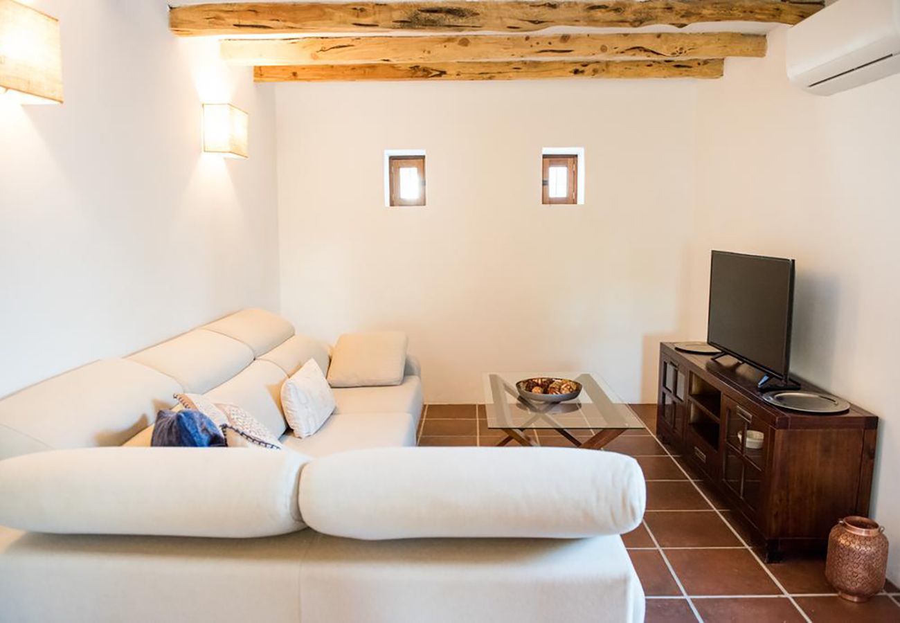 Villa in Santa Gertrudis - Villa Balea