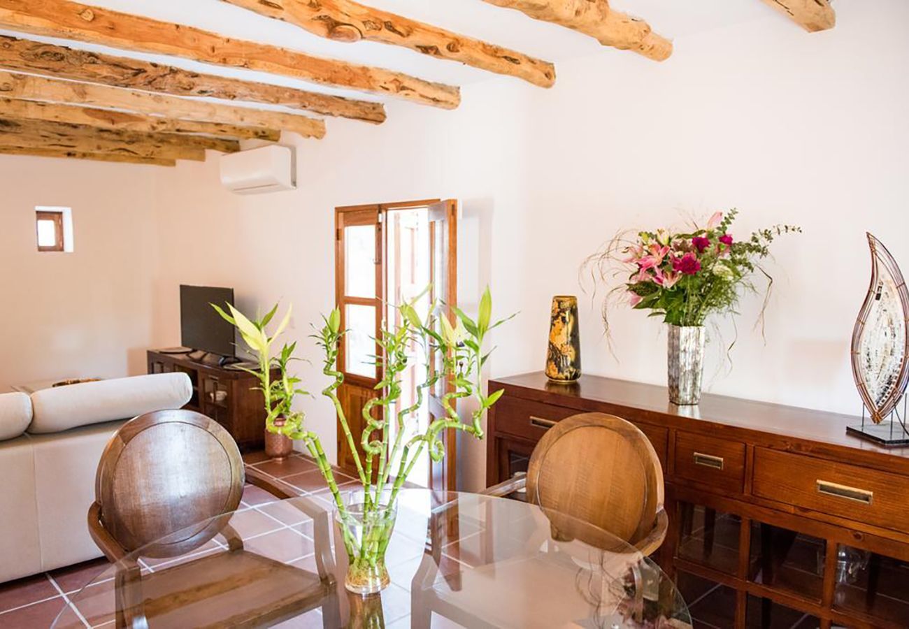 Villa in Santa Gertrudis - Villa Balea