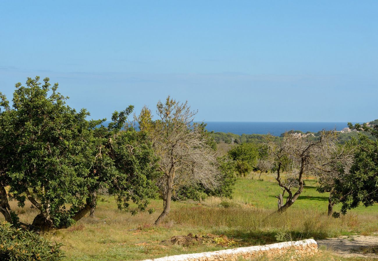 Villa in San Carlos/ Sant Carles de Peralta - Villa Indy