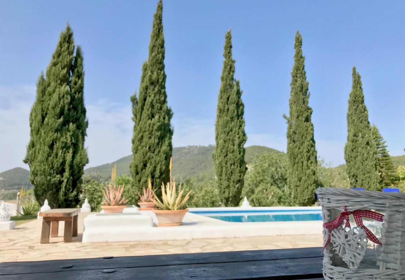 Villa in Sant Josep de Sa Talaia - Villa Piedra