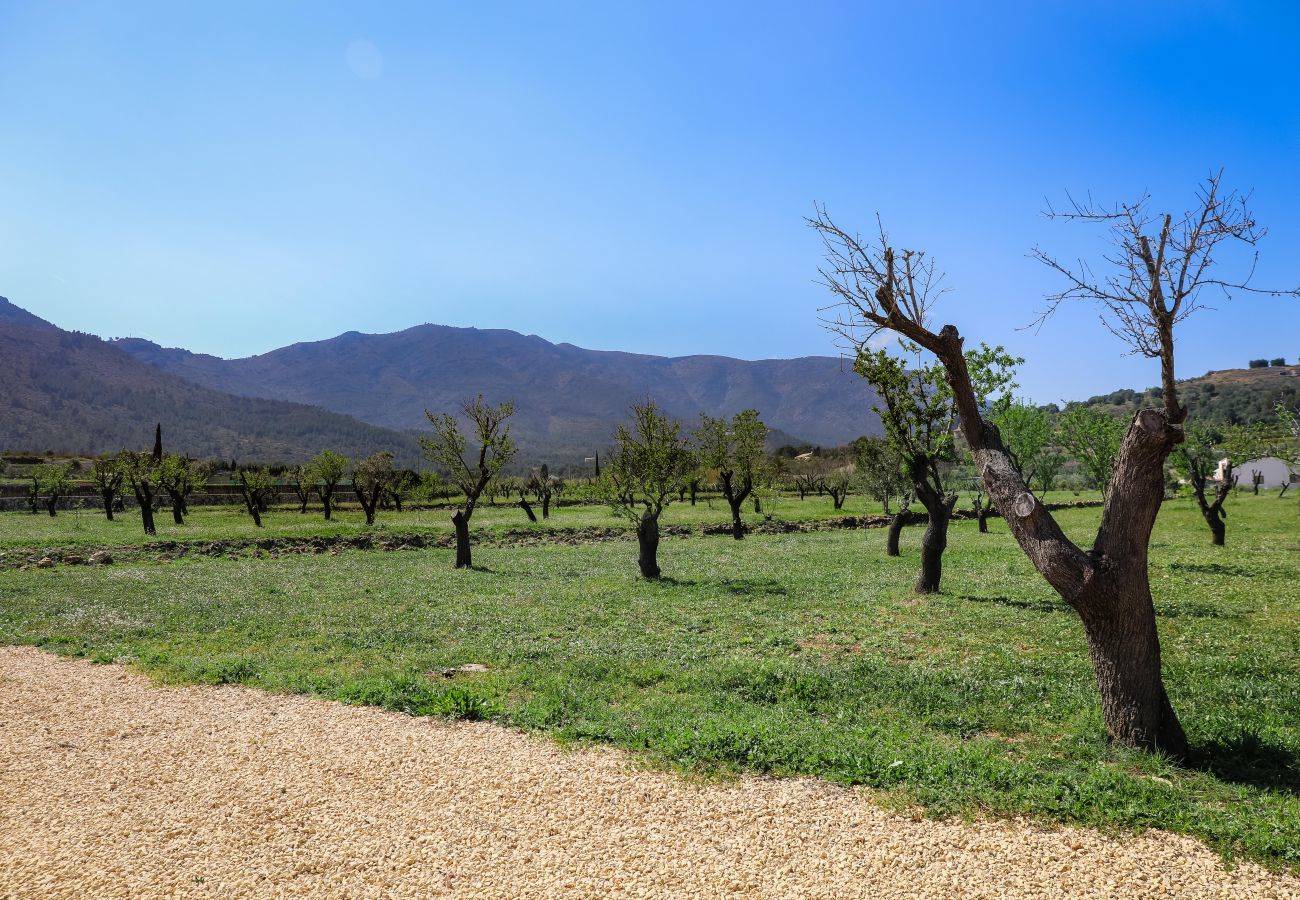 Villa in Jalón - Casita Travel | Finca Flor del Almendro