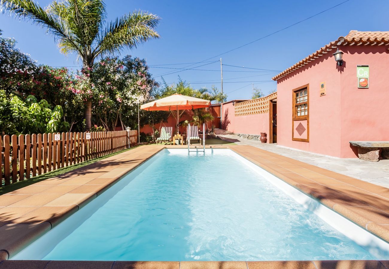 Huis in Puntagorda - Casa el Tendal