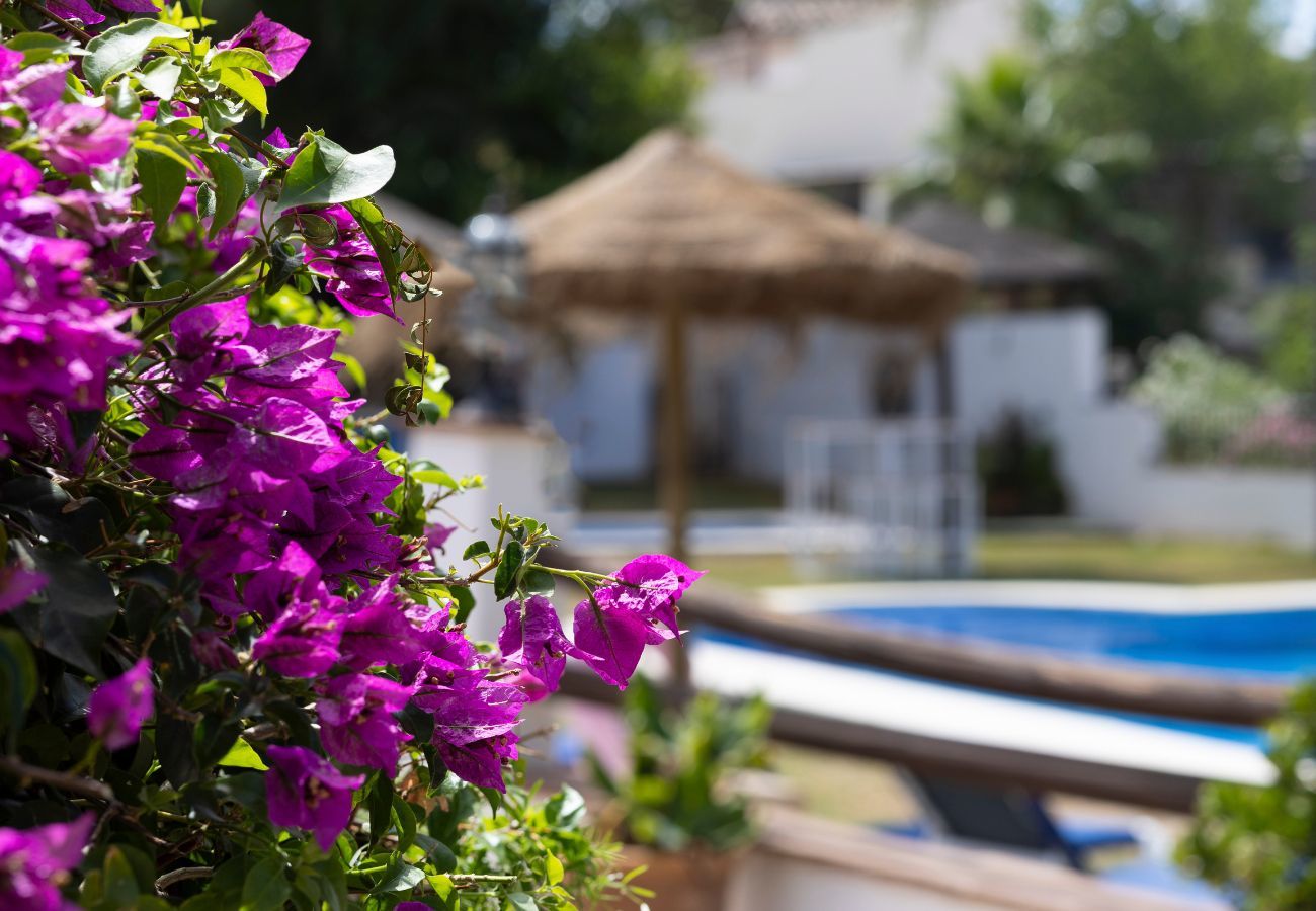 Studio in Alhaurín el Grande - Casita Primera Studio in Alhaurín el Grande - Casita Primera