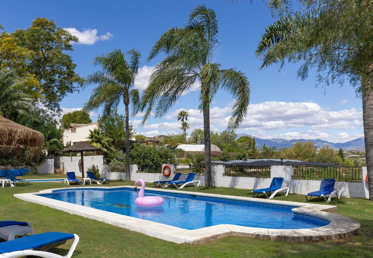 Studio in Alhaurín el Grande - Casita Primera Studio in Alhaurín el Grande - Casita Primera