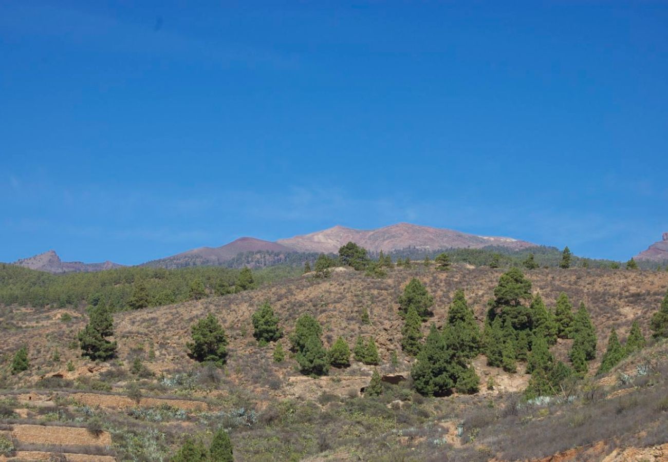 Huis in Granadilla de Abona - Casa Palma Huis in Granadilla de Abona - Casa Palma