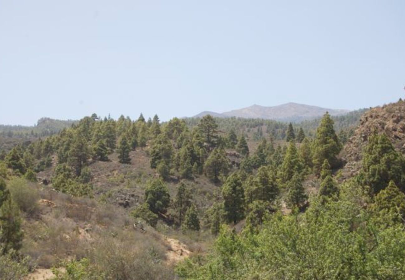 Huis in Granadilla de Abona - Casa Sofia Huis in Granadilla de Abona - Casa Sofia