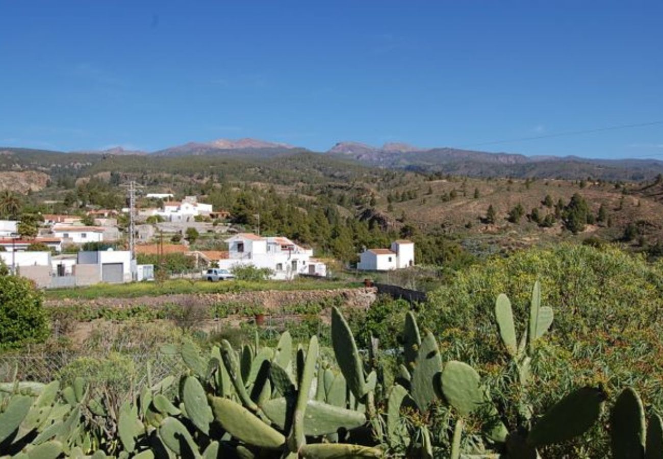 Huis in Granadilla de Abona - Casa Sofia Huis in Granadilla de Abona - Casa Sofia
